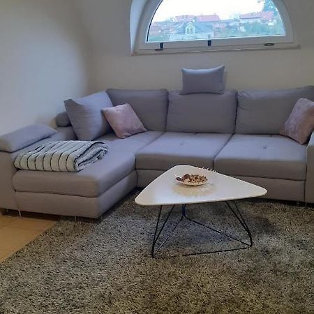 Oaza Klara Apartment Karlovac Bagian luar foto