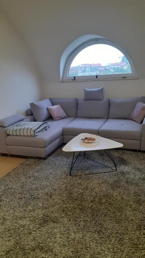 Oaza Klara Apartment Karlovac Bagian luar foto
